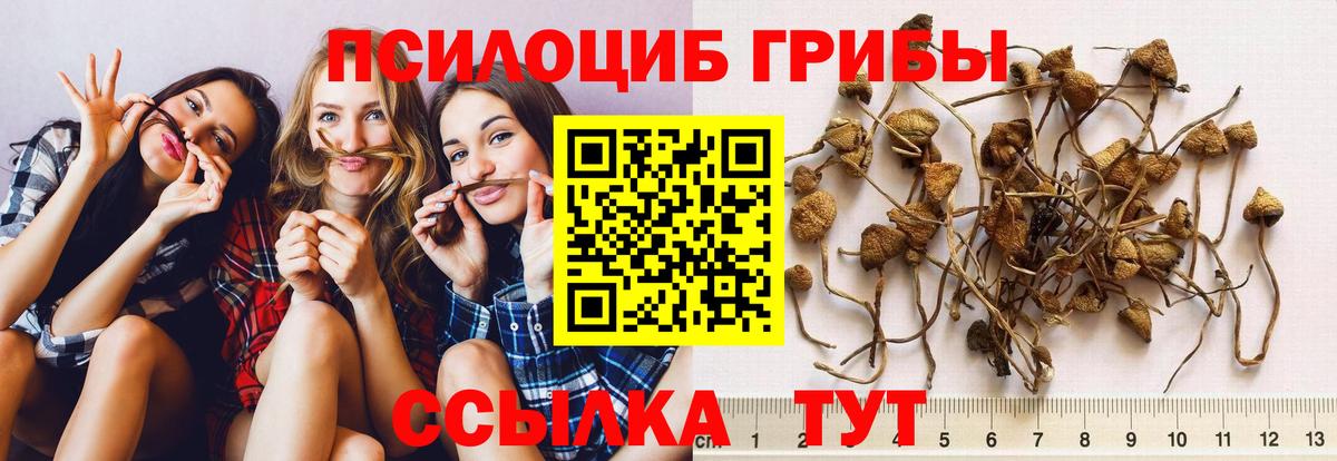Белебей  Галлюциногенные грибы Cubensis  Вход с VPN 